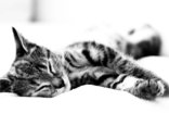 rozne_2560x1600_014.jpg