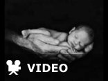Creed - Lullaby