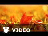 ERNESTO CORTAZAR- Leaves in the wind 