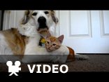 Friends forever