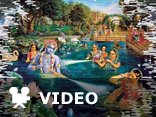 Krishna Janmashtami
