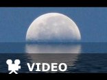 Ludwig Van Beethoven - Moonlight 