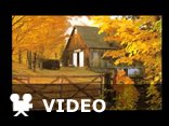 Romance-Andre Rieu