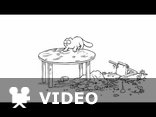 Simon's Cat in 'Lunch Break' 