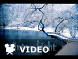 [The Secret Garden 1993] Linda Ronstadt- Winter light (with lyrics)