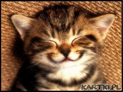 be happy...don't worry...