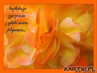 całuśna