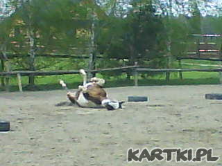 Czas się potarzać!