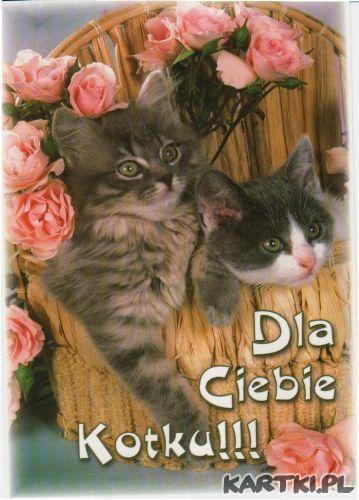 Dla Ciebie Kotku