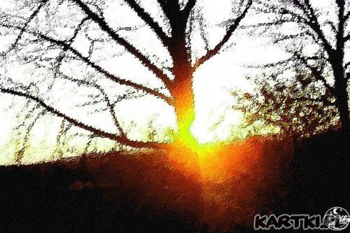 dużo słońca w pochmurne dni