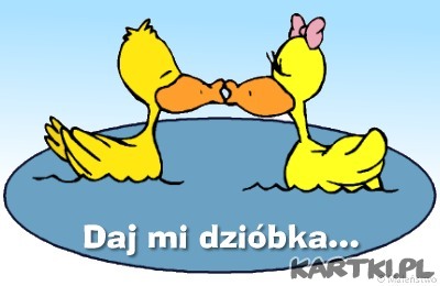 dziubek