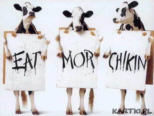 Eat More Chikin