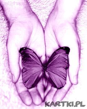 Fioletowa, motylkowa walentynka!