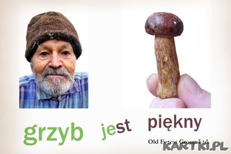 Grzyb jest piękny ^^