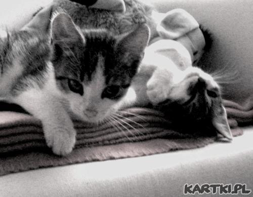 Indywidualiści górą!