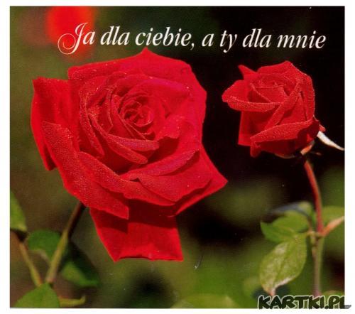 Ja dla Ciebie, a Ty dla mnie...