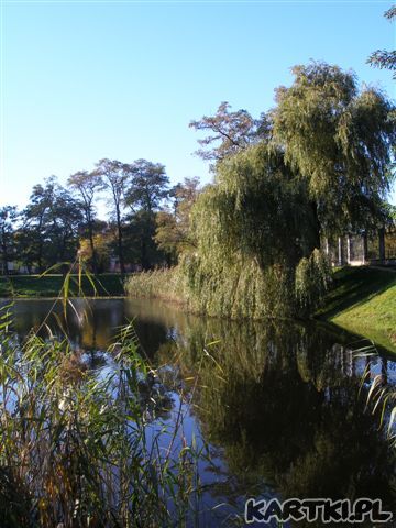 Jesień