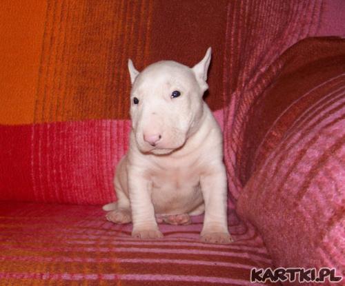 jeszcze troszke urosnę