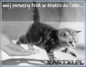 już ide!