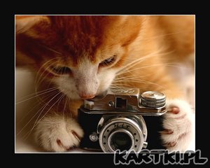 Kici kici mój koteczku!:)