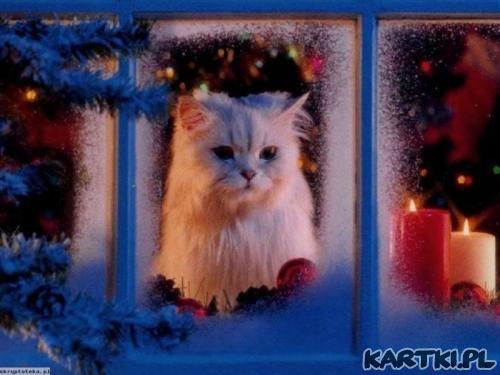 Kiedy będzie gwiazdka?