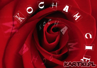 kocham
