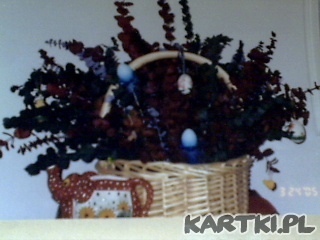 Kompozycja z suszonych kwiatow