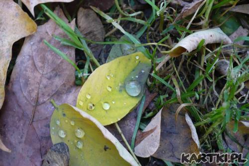 ...kropelka Twoich marzeń...;)