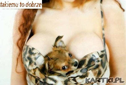mały szczęściarz