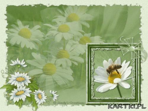 Margarytki