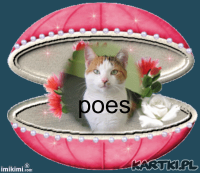 Miau,miau