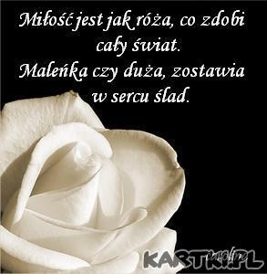 Miłość Jest Jak Róża...
