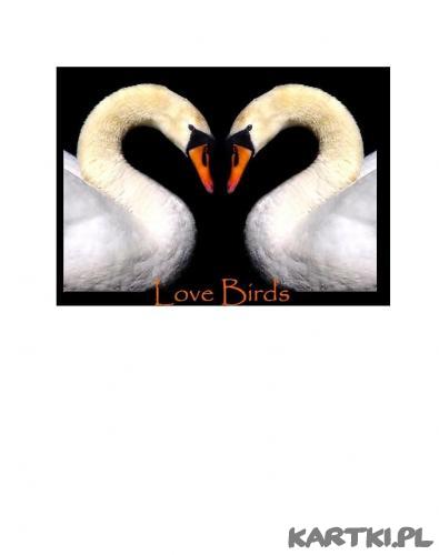 miłość przezwycięzy wszystko.