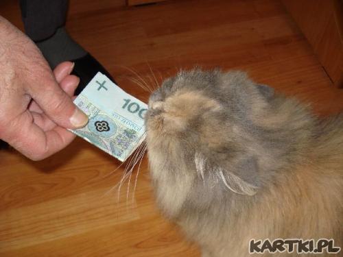 money, money, money...