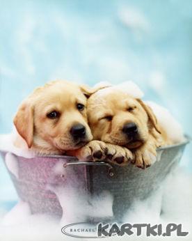 Najlepiej jest razem:)