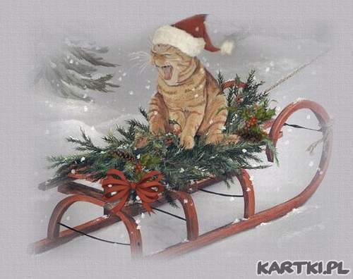 nie mogę doczekać się prezentów :)