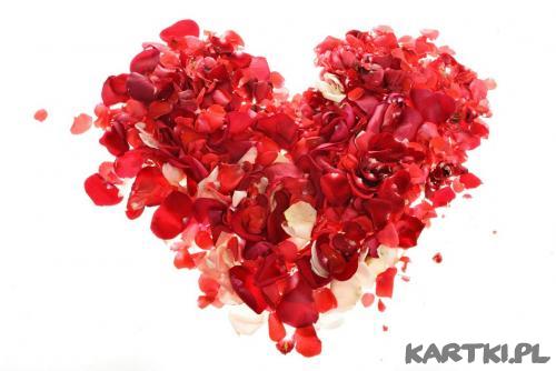 proszę... róże...