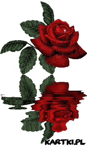 Roza