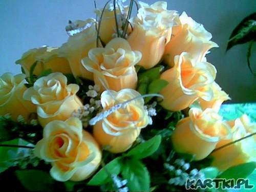 różane piękności