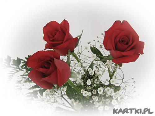 róże