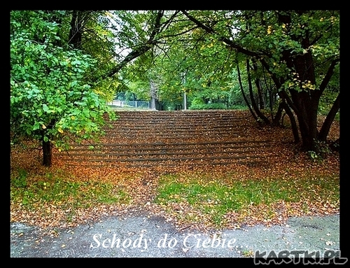 Schody