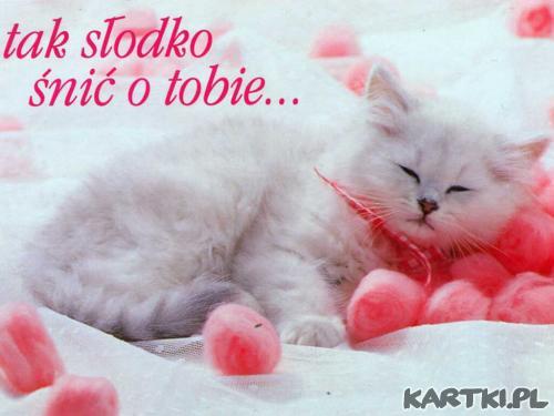 śnię o tobie