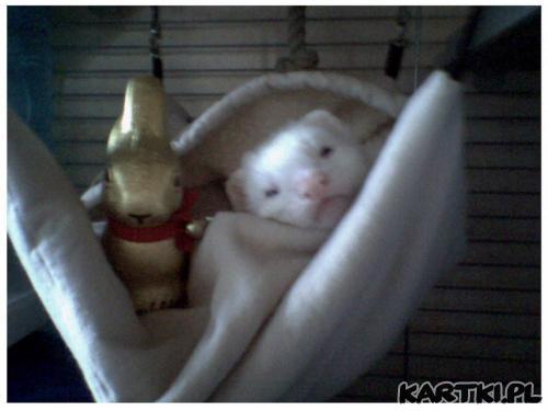 Spokojnych Świąt Wielkanocnych