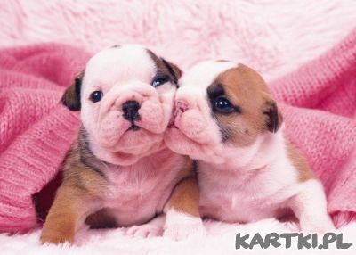 tak bardzo cię kocham!