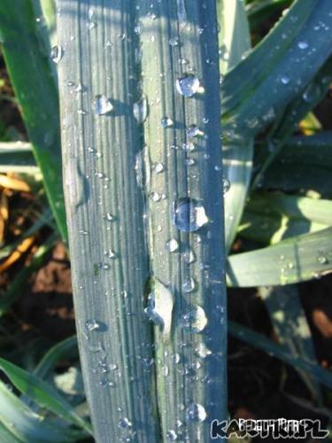 Tak blisko, tak daleko ;)