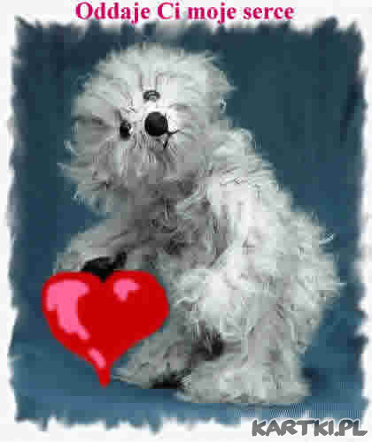 Teddy