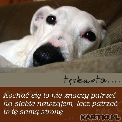 tęsknie