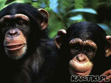 To ja i moja koleżanka