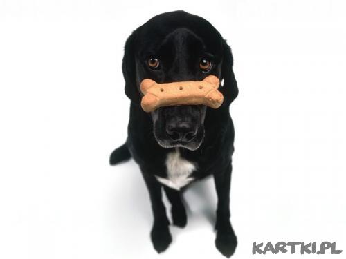 UMIECIE TAK????????????