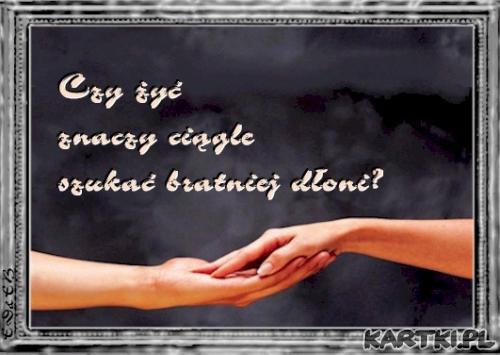 ...w poszukiwaniu...